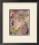 Rose Impressions I by Sara Abbott Limited Edition Print