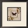 Butterfly Study Ii by Hakimipour-Ritter Limited Edition Print