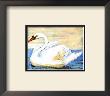 Swan by Silvana Crefcoeur Limited Edition Pricing Art Print