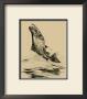 Fisherman's Delight Iv by William J. Schaldach Limited Edition Print