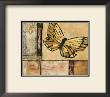 Butterfly In Yellow by Judi Bagnato Limited Edition Print