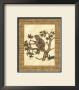 Monkey In A Tree Ii by Dianne Krumel Limited Edition Pricing Art Print