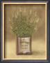 Plant In Brown Can by Jose Gomez Limited Edition Print