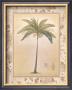Royal Palm by Richard Henson Limited Edition Print