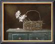 Orchid Basket by Ruane Manning Limited Edition Print