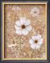 Lace Flowers I by Lisa Ven Vertloh Limited Edition Print