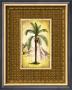 South Palm Iv by Andrea Laliberte Limited Edition Pricing Art Print