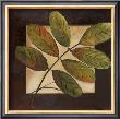 Leaves Over Brown Ii by Patricia Quintero-Pinto Limited Edition Pricing Art Print