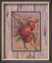 Pomme Fructus by Constance Lael Limited Edition Print