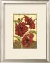 Sophisticated Hibiscus I by Jennifer Goldberger Limited Edition Print