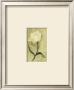White Flower by Julio Sierra Limited Edition Pricing Art Print