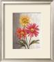 Gerber Daisies by Debra Lake Limited Edition Print