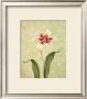 Lily Surprise by Debra Lake Limited Edition Pricing Art Print