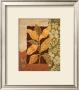 Leaf Collage I by Louise Max Limited Edition Pricing Art Print