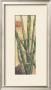 Inspiration by Dagmar Zupan Limited Edition Print