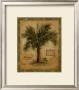 Palm Carpoxylon by Betty Whiteaker Limited Edition Print