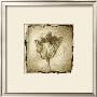 Floral Impression Ii by Ethan Harper Limited Edition Print