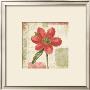 Chinese Peony I by Katie Pertiet Limited Edition Pricing Art Print