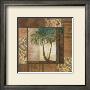 Safari Palm Ii by Julia Hawkins Limited Edition Print