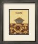 Exotic Spices: Cumin by Norman Wyatt Jr. Limited Edition Print