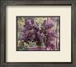 Lilacs By The Window by Boris Nicolaiev Limited Edition Print