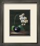 Good As Gold Orchid by Sandra Principe Limited Edition Pricing Art Print