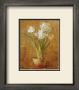White Narcissus On Bronze by Danhui Nai Limited Edition Print