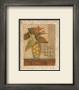 Citrus Bouquet Ii by Charlene Winter Olson Limited Edition Print