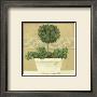Green Plant In White Pot by Cuca Garcia Limited Edition Pricing Art Print