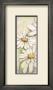 Summer Day by Dagmar Zupan Limited Edition Pricing Art Print