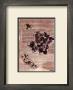 Antique Flowers Iii by Jeanne Hughes Limited Edition Pricing Art Print