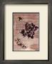 Antique Flowers Iii by Jeanne Hughes Limited Edition Print