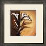 Split Flowers Lilies by Alfred Gockel Limited Edition Print