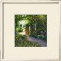 Peaceful Entry by Dwayne Warwick Limited Edition Print