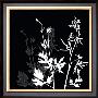 Monochrome Meadow Grass Ii by Katrine Alex Limited Edition Pricing Art Print