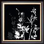 Monochrome Meadow Grass Ii by Katrine Alex Limited Edition Print