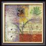 Floral With Cursive I by Pierre Fortin Limited Edition Print