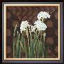 Narcissus On Brown Ii by Katherine Lovell Limited Edition Pricing Art Print