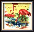 Flamingo by William Stecher Limited Edition Print