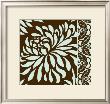 Medium Striking Chrysanthemums I by Nancy Slocum Limited Edition Pricing Art Print