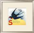 Swallow by William Stecher Limited Edition Print