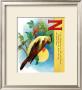 Nightingale by William Stecher Limited Edition Print