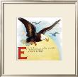 Eagle by William Stecher Limited Edition Print