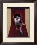 Etude Pour Un Portrait De John Edward, C.1989 by Francis Bacon Limited Edition Pricing Art Print