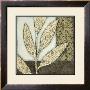 Neutral Leaves And Patterns I by Megan Meagher Limited Edition Print