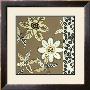 Pinwheels I by Nancy Slocum Limited Edition Pricing Art Print