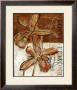 Rusty Orchid Ii by John Stevenson Limited Edition Pricing Art Print