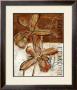 Rusty Orchid Ii by John Stevenson Limited Edition Print