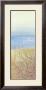 Coastal Grasses I by Alex Murray Limited Edition Print