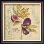 Fresh Figs by Stefania Ferri Limited Edition Pricing Art Print